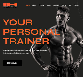 Personal Trainer 3